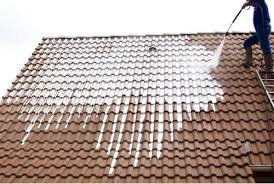 Démoussage de toitures par Matt Pro Rénove